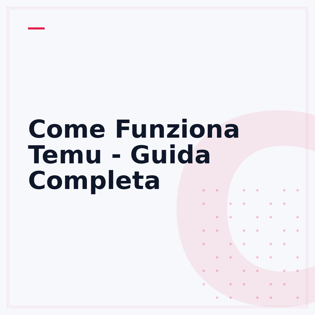 Come Funziona Temu - Guida Completa