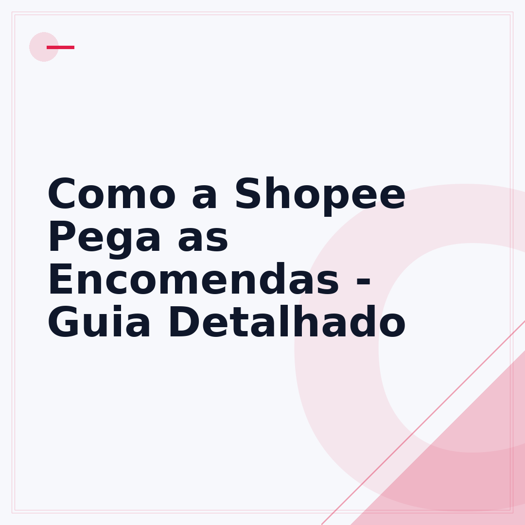 Como a Shopee Pega as Encomendas - Guia Detalhado