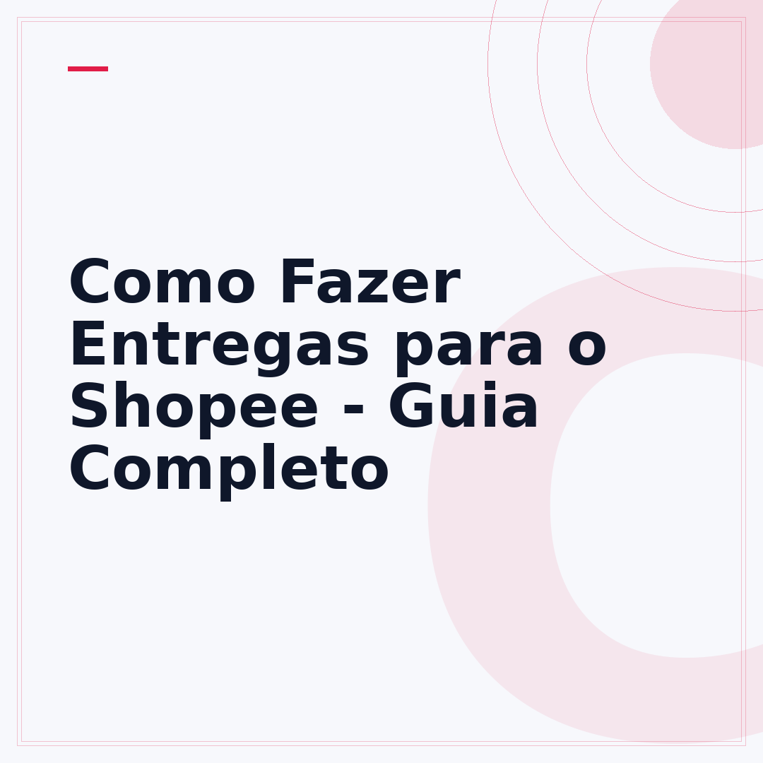 Como Fazer Entregas para o Shopee - Guia Completo