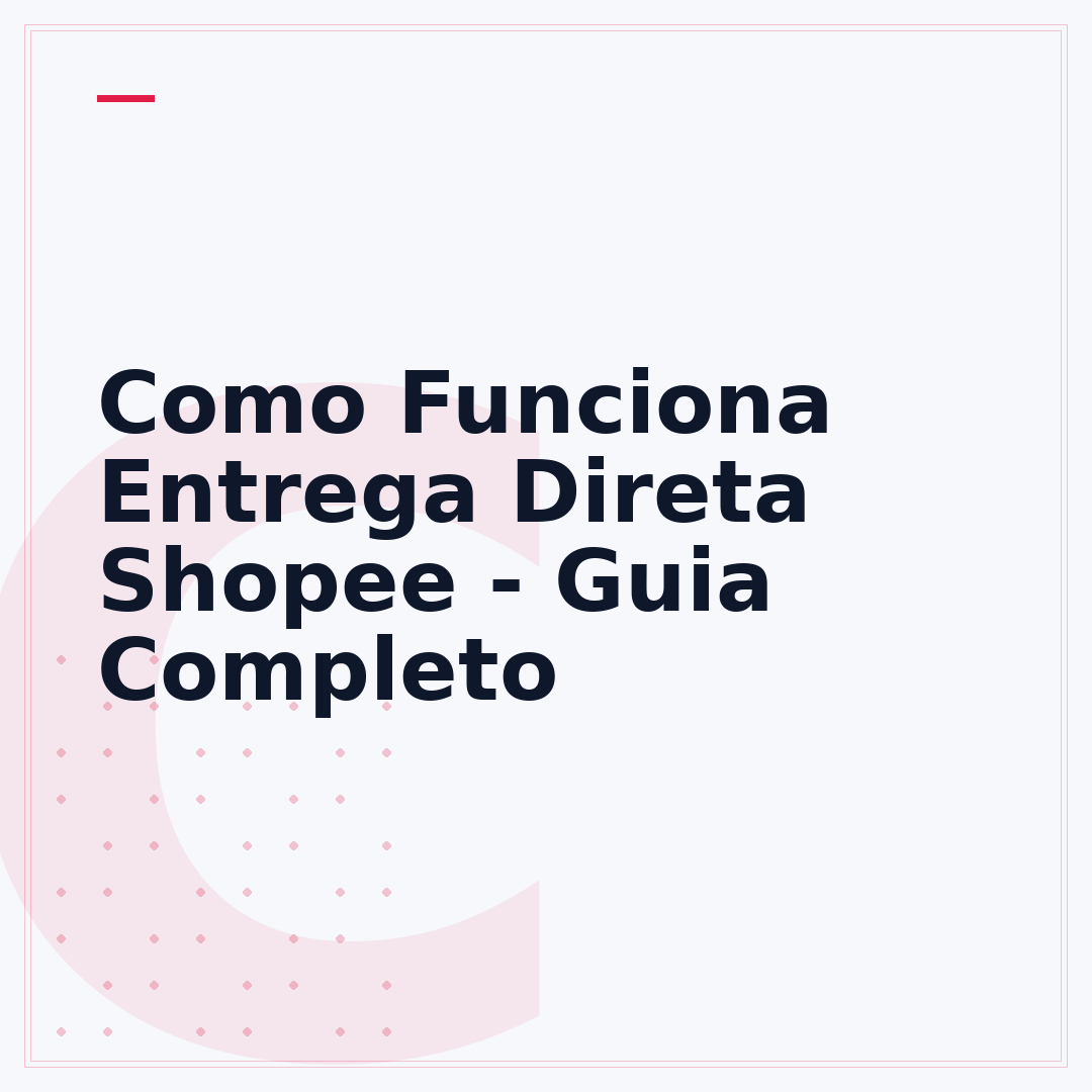 Como Funciona Entrega Direta Shopee - Guia Completo