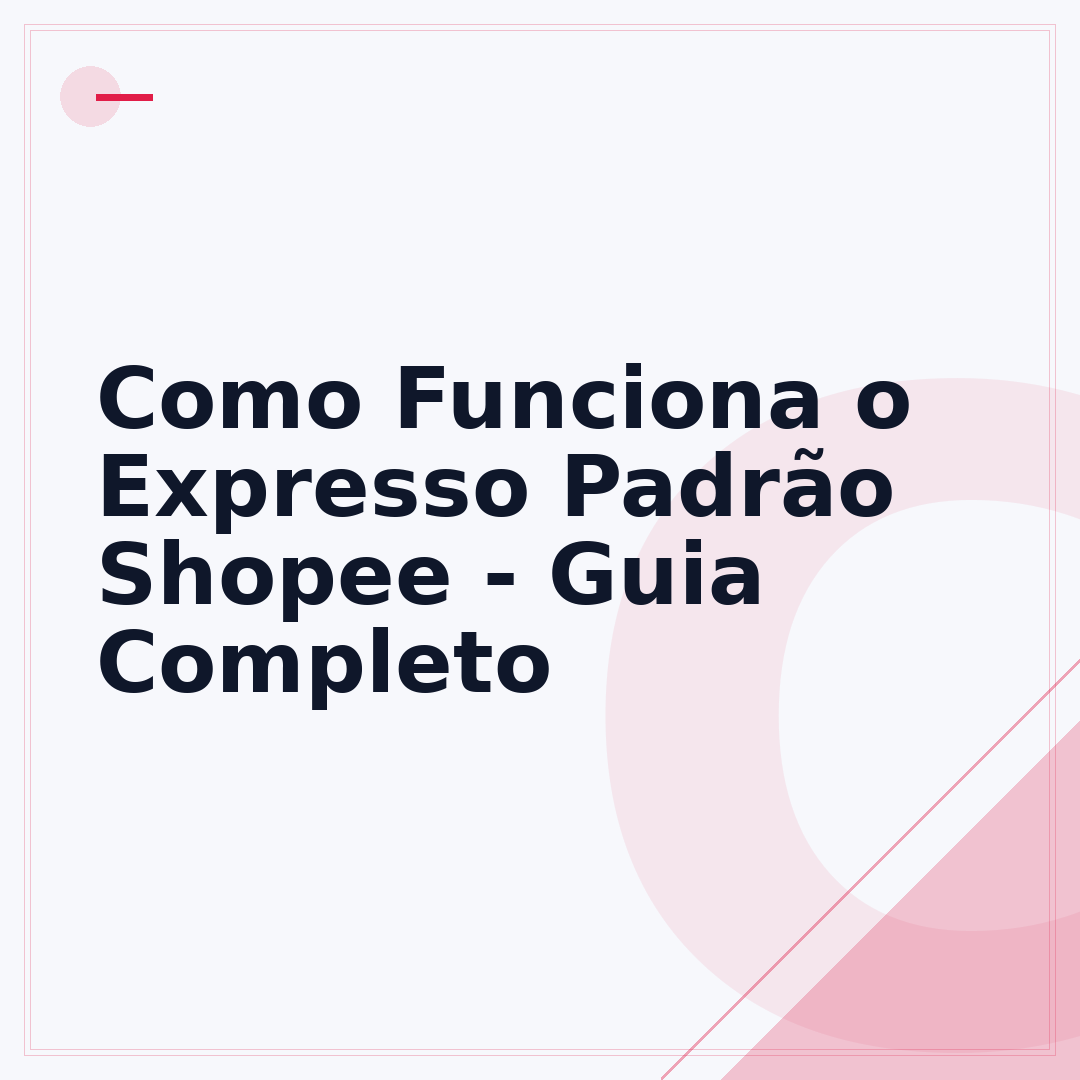 Como Funciona o Expresso Padrão Shopee - Guia Completo