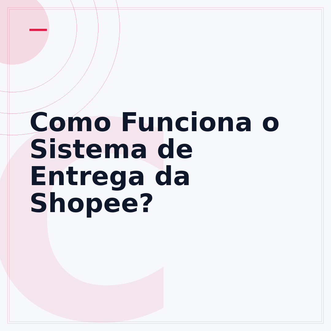 Como Funciona o Sistema de Entrega da Shopee?