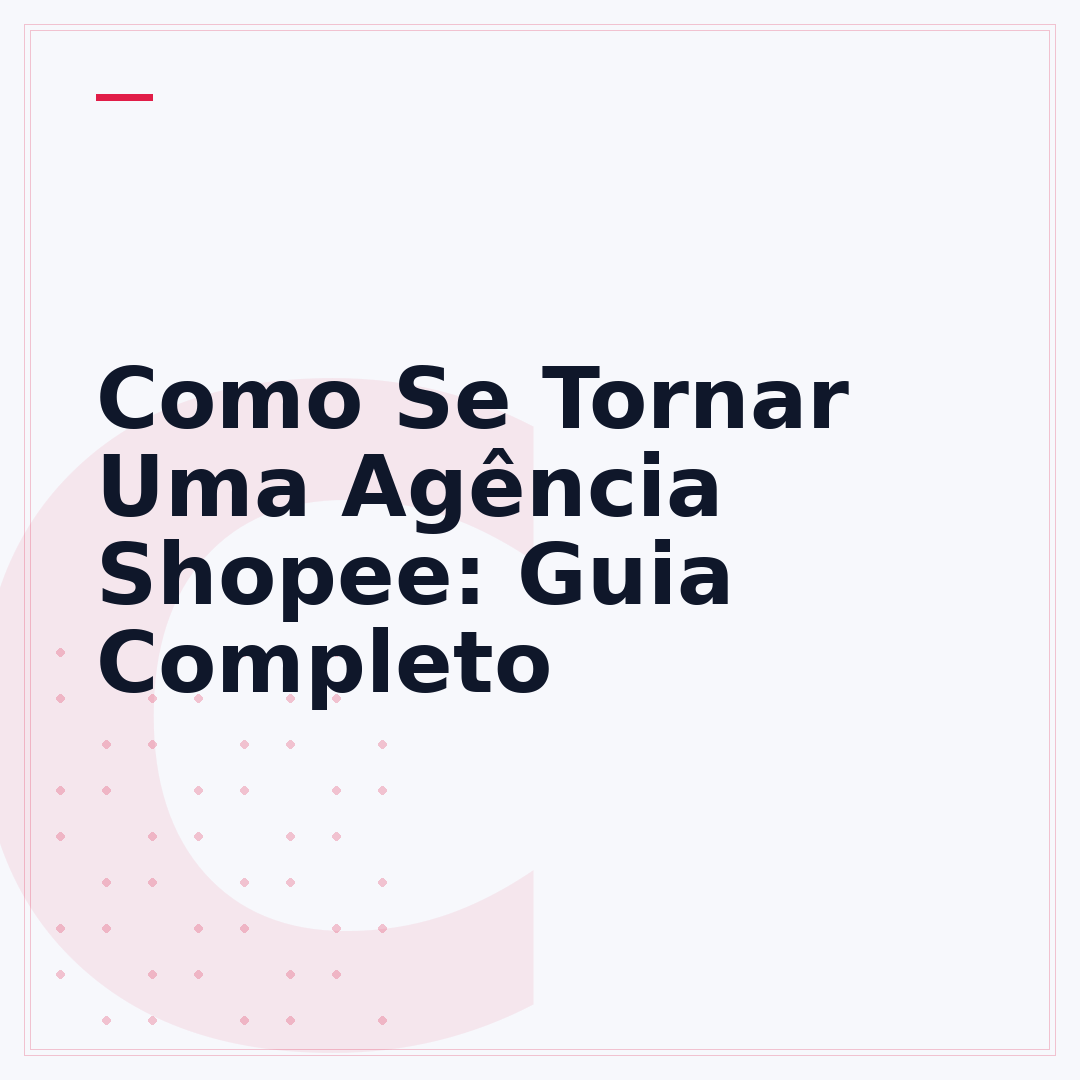 Como Se Tornar Uma Agência Shopee: Guia Completo