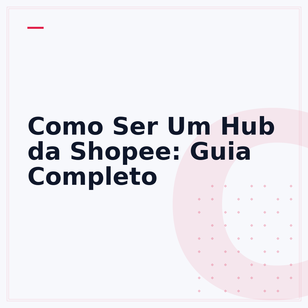 Como Ser Um Hub da Shopee: Guia Completo