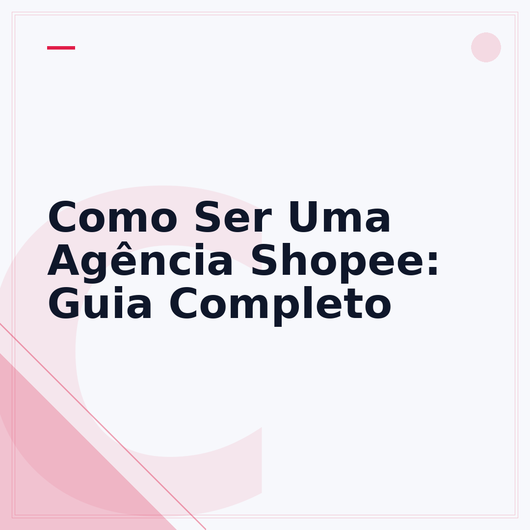 Como Ser Uma Agência Shopee: Guia Completo