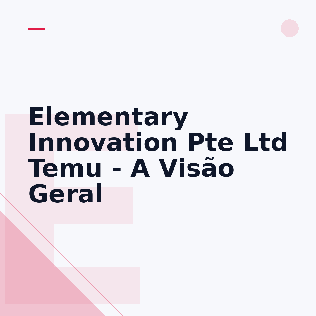 Elementary Innovation Pte Ltd Temu - A Visão Geral