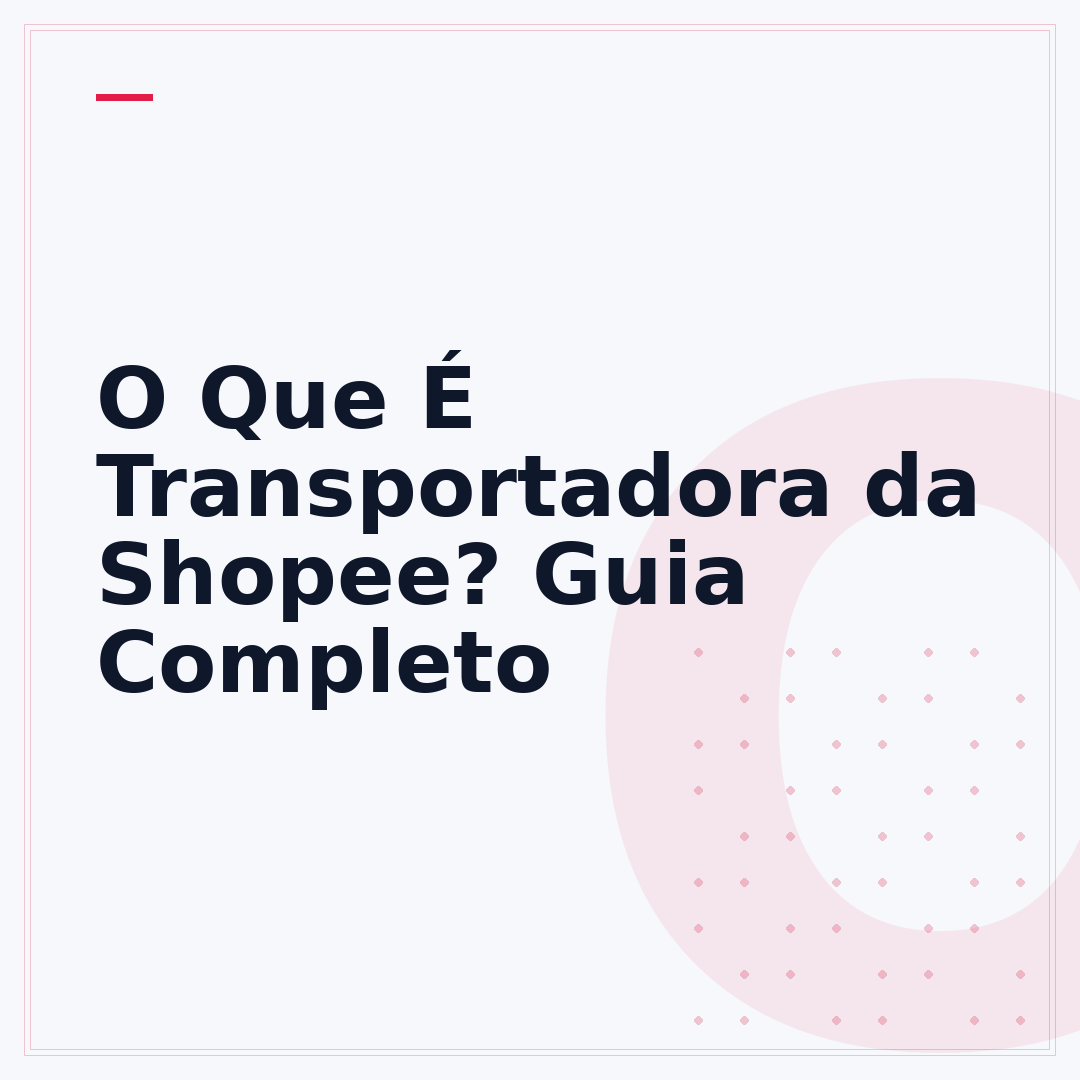 O Que É Transportadora da Shopee? Guia Completo