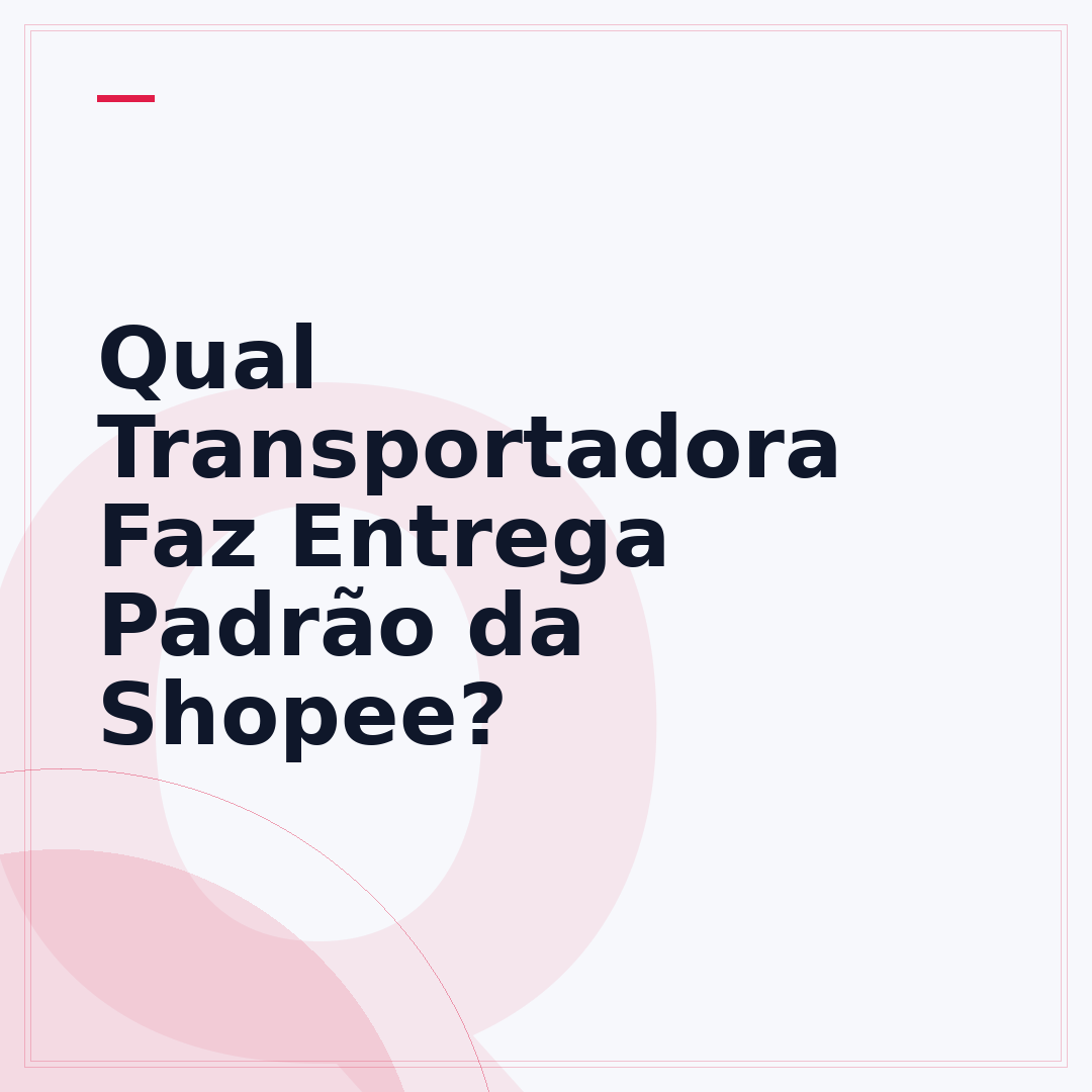 Qual Transportadora Faz Entrega Padrão da Shopee?