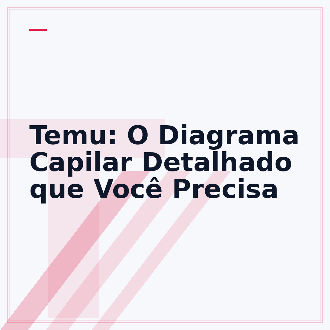 Temu: O Diagrama Capilar Detalhado que Você Precisa