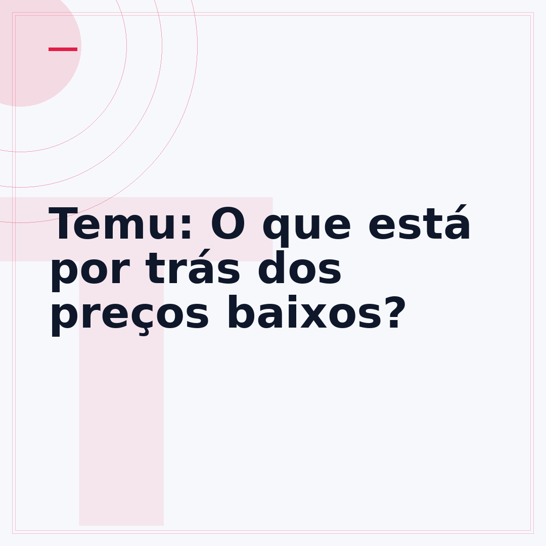Temu: O que está por trás dos preços baixos?