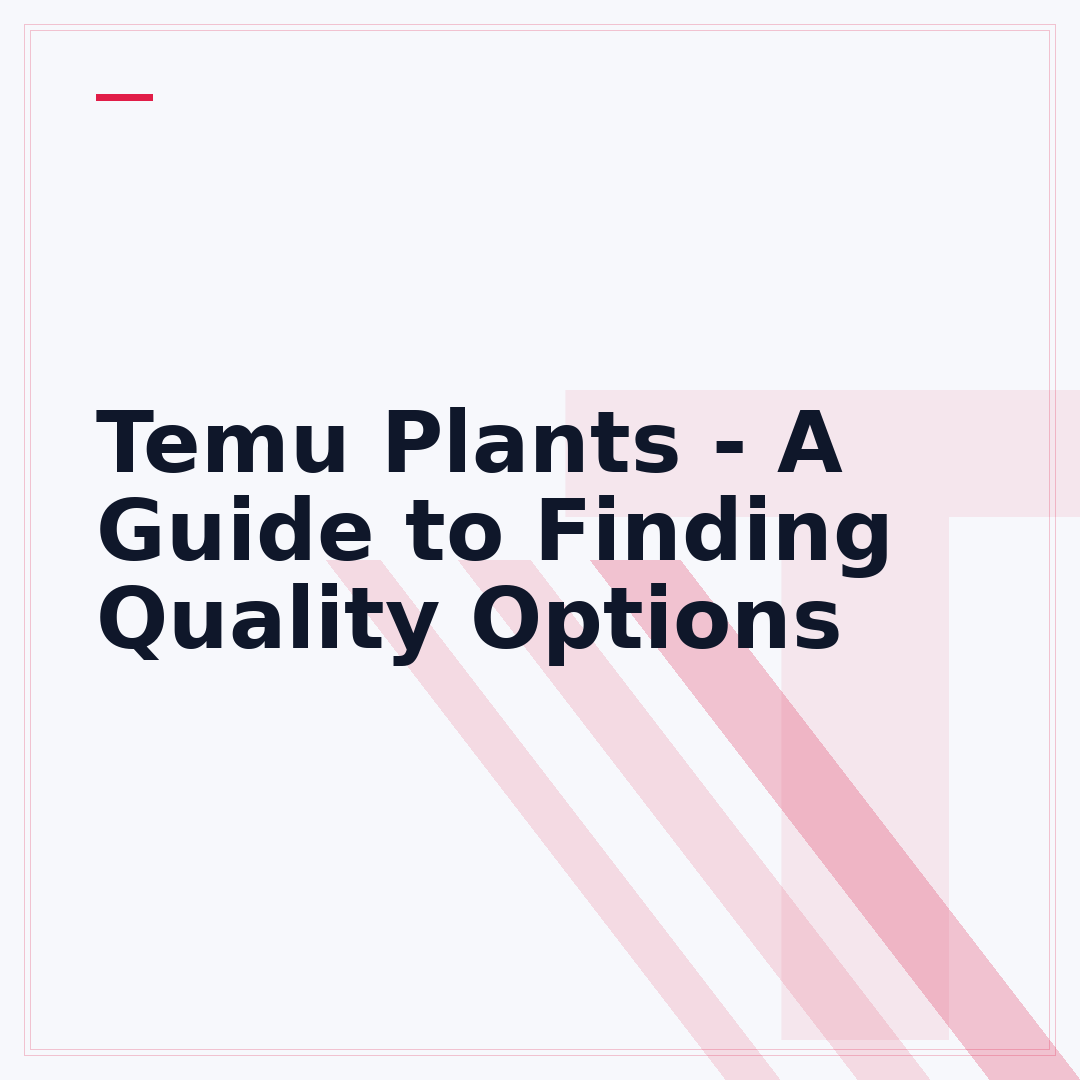 Temu Plants - A Guide to Finding Quality Options