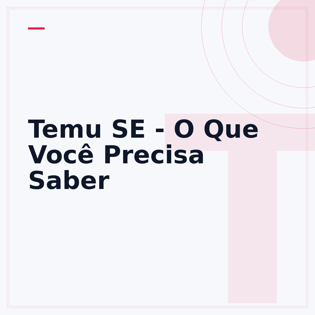 Temu SE - O Que Você Precisa Saber