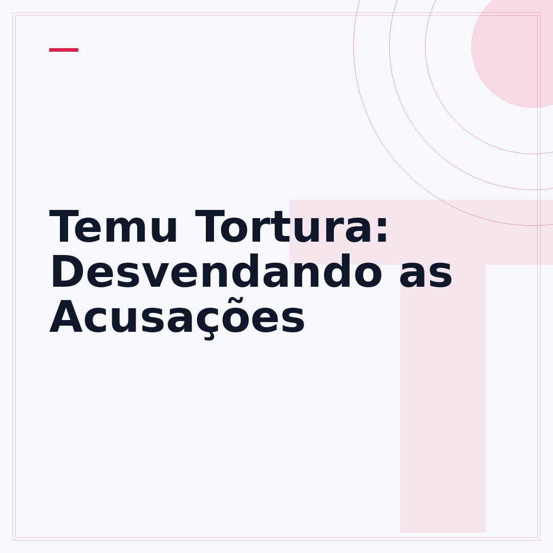 Temu Tortura: Desvendando as Acusações