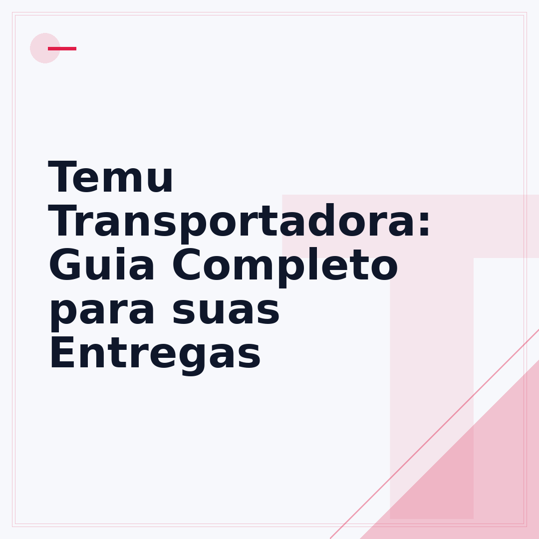 Temu Transportadora: Guia Completo para suas Entregas